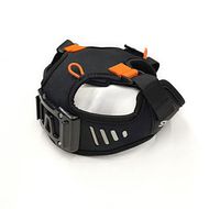 Spectra Head mount 
